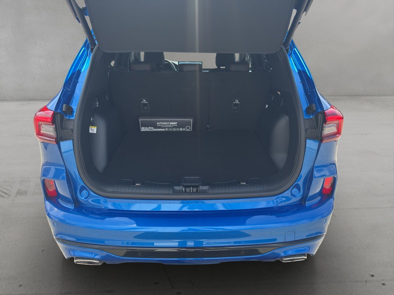 Fahrzeugabbildung Ford Kuga 2.5 FHEV ST-Line X Aut./ACC/AHK/KAMERA/B&O