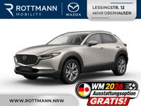 Mazda CX-30 - Vorschau Bild 1