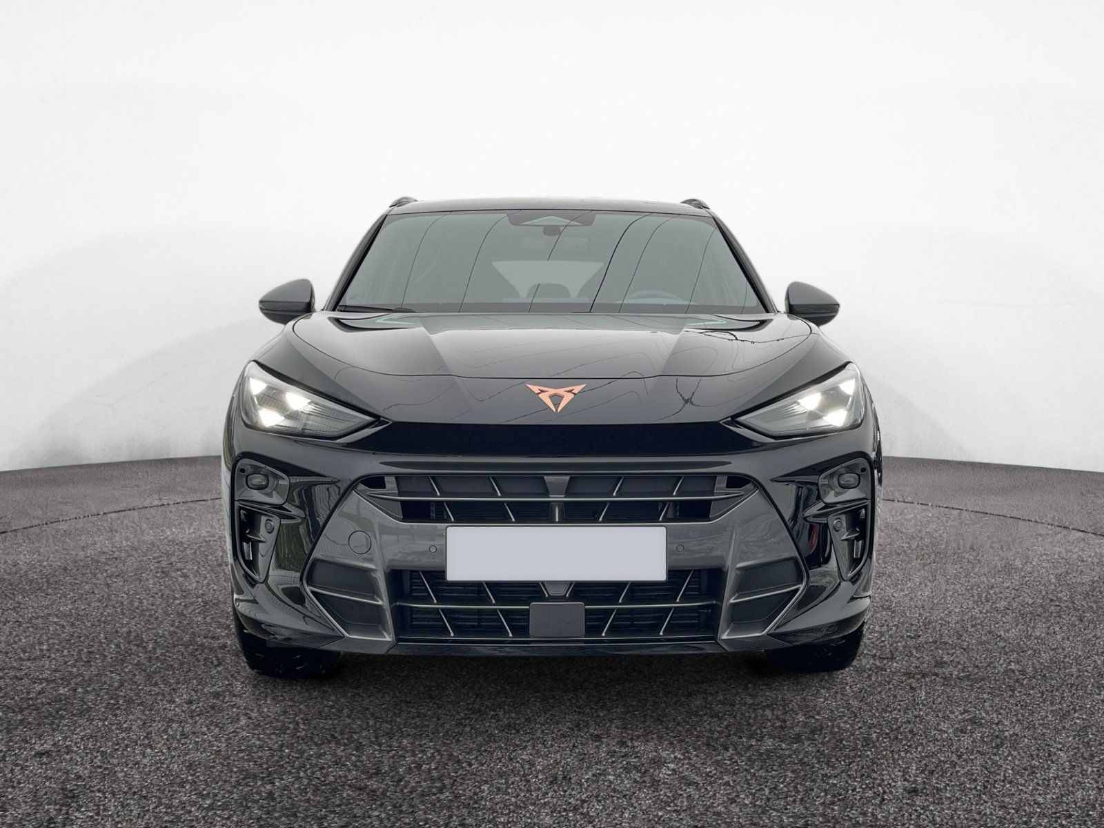 Cupra Terramar - Bild 2