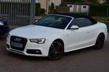 Audi A5 Cabrio S-Line|Bi-Xenon|Alcantara|Si-Hzg|Tempo - Audi A5: Sportfahrwerk