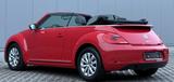 Volkswagen Beetle Cabriolet Design BMT*Leder*Navi*PDC*Alu* - Volkswagen Beetle in Essen