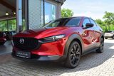 Mazda CX-30 2.5 140PS Nagisa BOSE® Voll-LED Navi Kamer - Mazda Neuwagen: Geländewagen