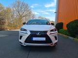 Lexus NX 300h Style Edition .Top Zustand  - Lexus: Nx