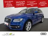 Audi SQ5 3.0 TDI quattro *AHK*PANO*KAMERA*SITZH* - Audi Gebrauchtwagen in Kempten