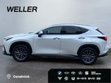 Lexus NX 350h Executive Line *Bi-LED*360°*el Sitze*SHZ - gebrauchte Lexus NX 350h aus dem Jahr 2024