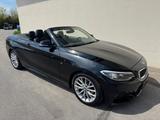 BMW Cabrio 218 i M Sportpaket,Orig.76TKM,Bi-Xenon - BMW: Cabrio, 7