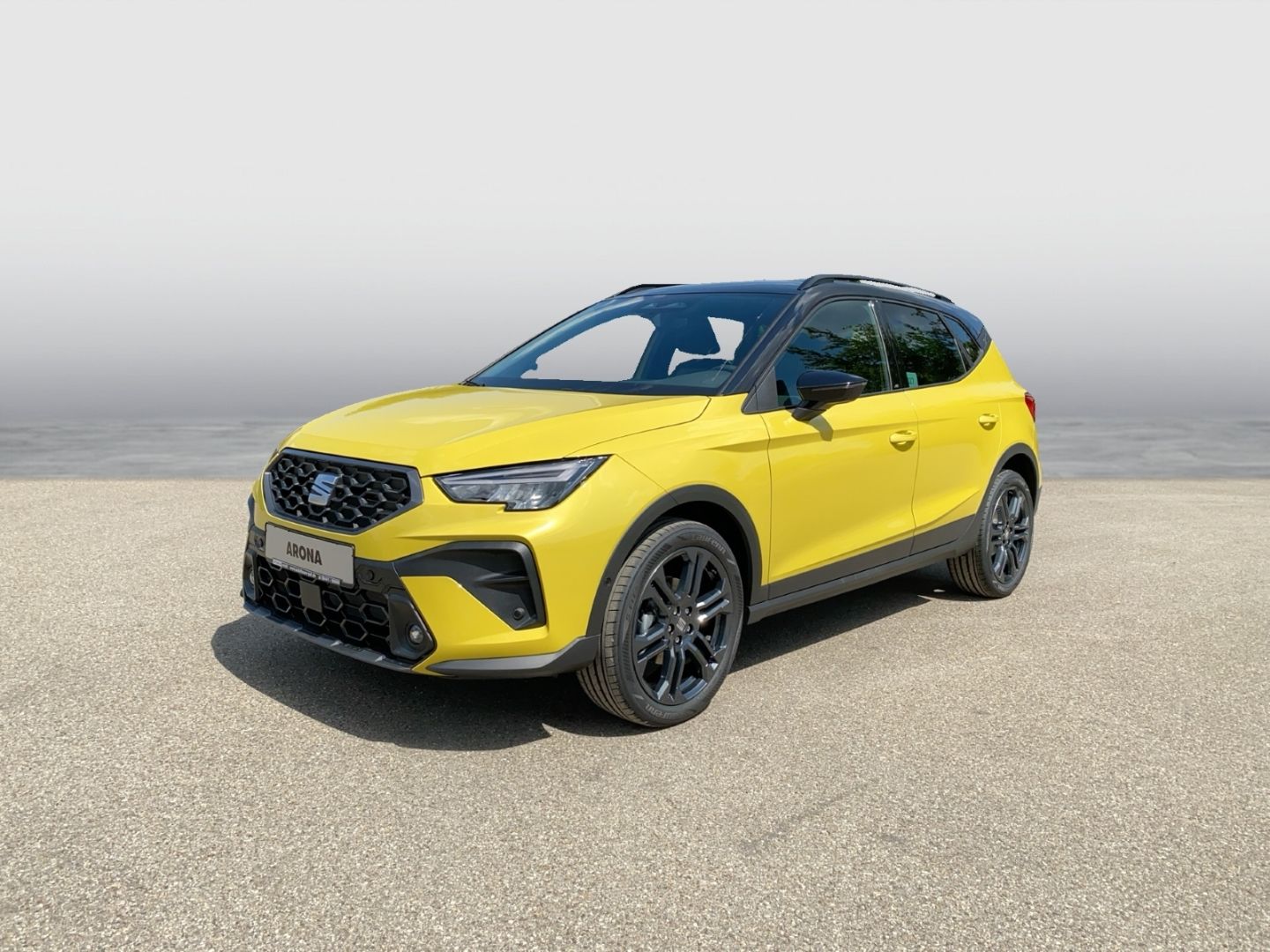 Seat Arona FR 1.0 TSI 85 kW (116 PS) DSG PDC vo Sitzh