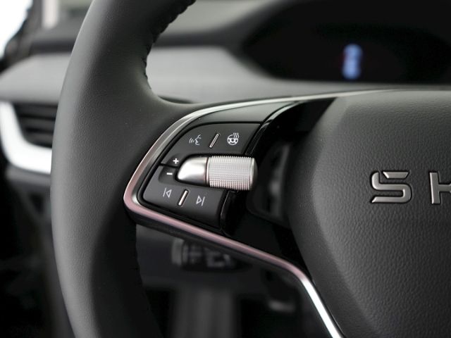 ENYAQ iV 60+LED+AHK+NAVI+LENKRADHEIZUNG+RÜCKFAHR