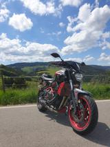 Yamaha MT-07 Moto Cage  - YAMAHA MT 07 MOTO CAGE