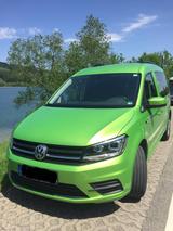 Volkswagen Caddy Maxi Beach 4motion DSG ACC Xenon Navi - VW Caddy Maxi von privat