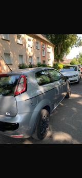 Fiat Punto 1.2 8V POP POP - Fiat Punto in Essen
