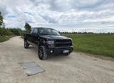 Ford F 150 Pick Up / Harley Davidson / Gasanlage - gebrauchte Ford F 150 aus dem Jahr 2010