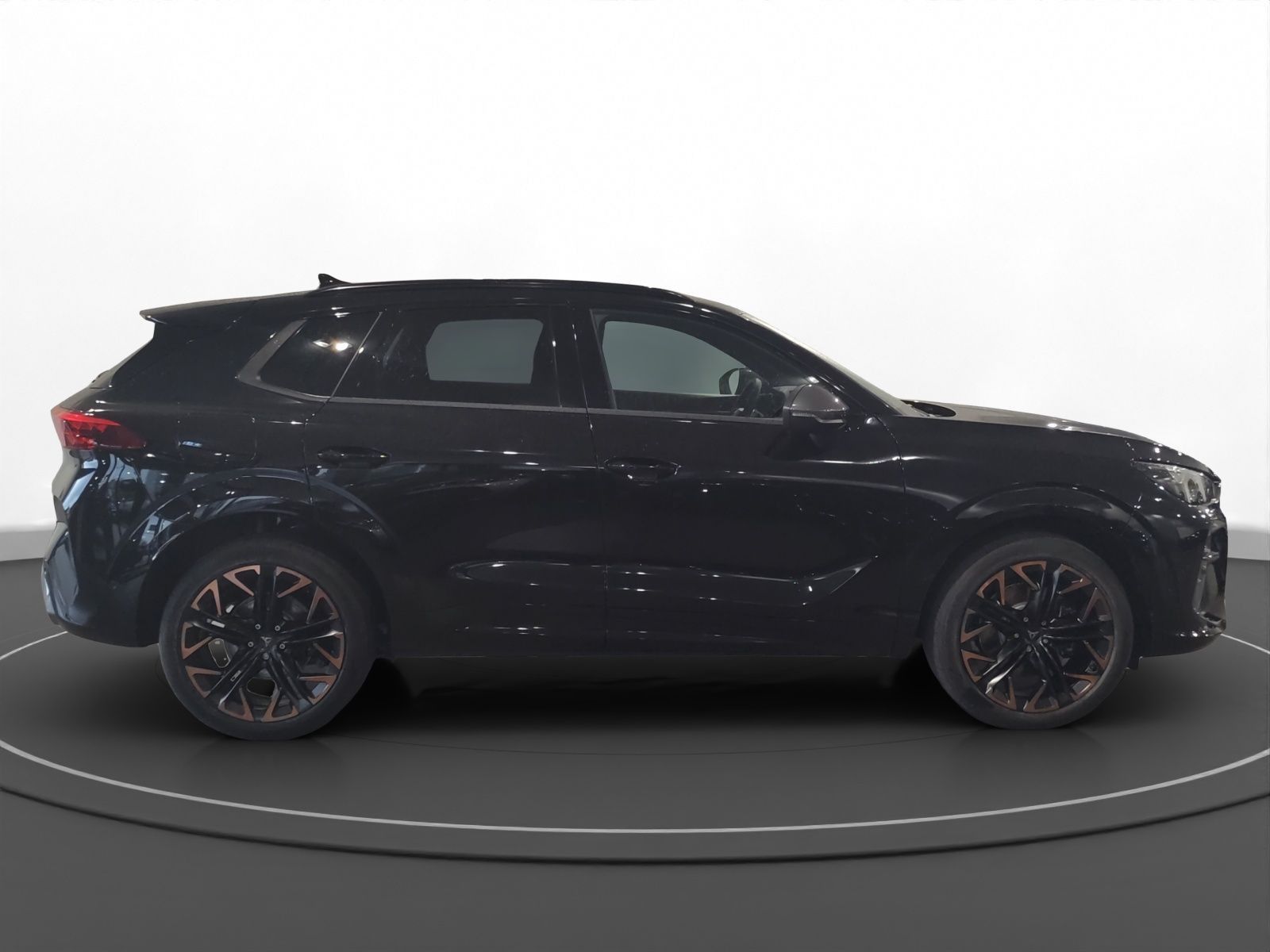 Cupra Terramar - Bild 7