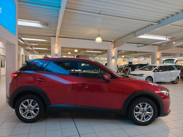 CX-3 Exclusive-Line