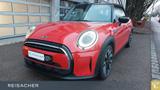 MINI Cooper Cabrio A Classic-Trim,Navi,Leder,RFK,LED - rote MINI Cooper Cabrio