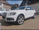 Audi AUDI Q5 QUATTRO 2.0 TDI Facelift,  Panoram... - gebrauchte Audi Q5 mit Facelift