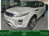Land Rover Range Rover Evoque Dynamic*PANO*NAV*KAM*LEDER* - Land Rover: Geländewagen