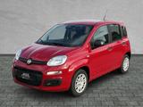 Fiat Panda Pandina POP Hybrid #KLIMA #PARKSENSOREN - Fiat Panda POP mit Hybrid-Antrieb (Benzin/Elektro)