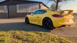 Porsche Cayman GT4 GT4 Approved Clubsport 981 - Porsche Cayman in Gelsenkirchen