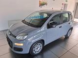 Fiat FIAT PANDA 1.0 FIREFLY S&S HYBRID - Fiat Panda: Fire