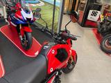 Honda MSX125 mit nur 2240km *Service neu* - Offers