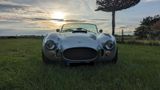 Cobra Repl. VHD-Viper Ford V8 (Cooke), H-Kennz. - Cobra: Roadster