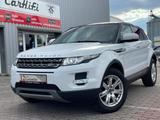 Land Rover Range Rover Evoque Pure - Land Rover: Weiß