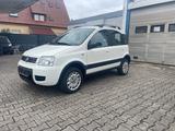 Fiat Panda 1.2 8V Climbing 4X4 +AHK+Tüv bis 08.2026 - Fiat Panda Gebrauchtwagen in Karlsruhe