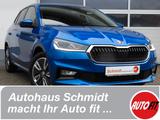 Skoda Fabia Style Rückfahrkamera