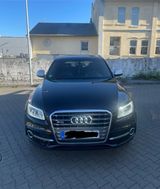 Audi AUDI SQ5 3.0TDI Competition tiptronic quattro - Audi quattro aus 2016
