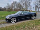 Audi A5 3.0 TFSI S tronic quattro Cabriolet - - Audi A5 aus 2012 mit Benzin-Antrieb: Cabrio