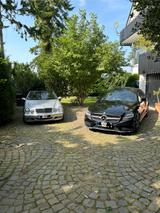 Mercedes-Benz CLS 250 BlueTEC - Auto zum verlieben  - Mercedes-Benz CLS 250 aus 2015