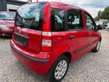 Fiat Panda 1.2 8V MyLive - Fiat Panda: My