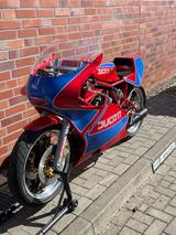 Ducati TT - DUCATI RENNSPORT