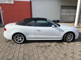 Audi A 5 Cabriolet 3.0 TDI Quattro S tronic - Audi Cabriolet Gebrauchtwagen
