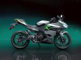 Kawasaki Ninja e-1 - Angebote