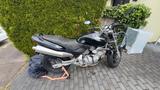 Honda Hornet - PC 34z u verschenken ... - Offers matching your search criteria