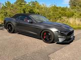 Ford Mustang 5.0 V8 GT Cabrio MagneRide Garantie  - Ford Mustang in Rostock