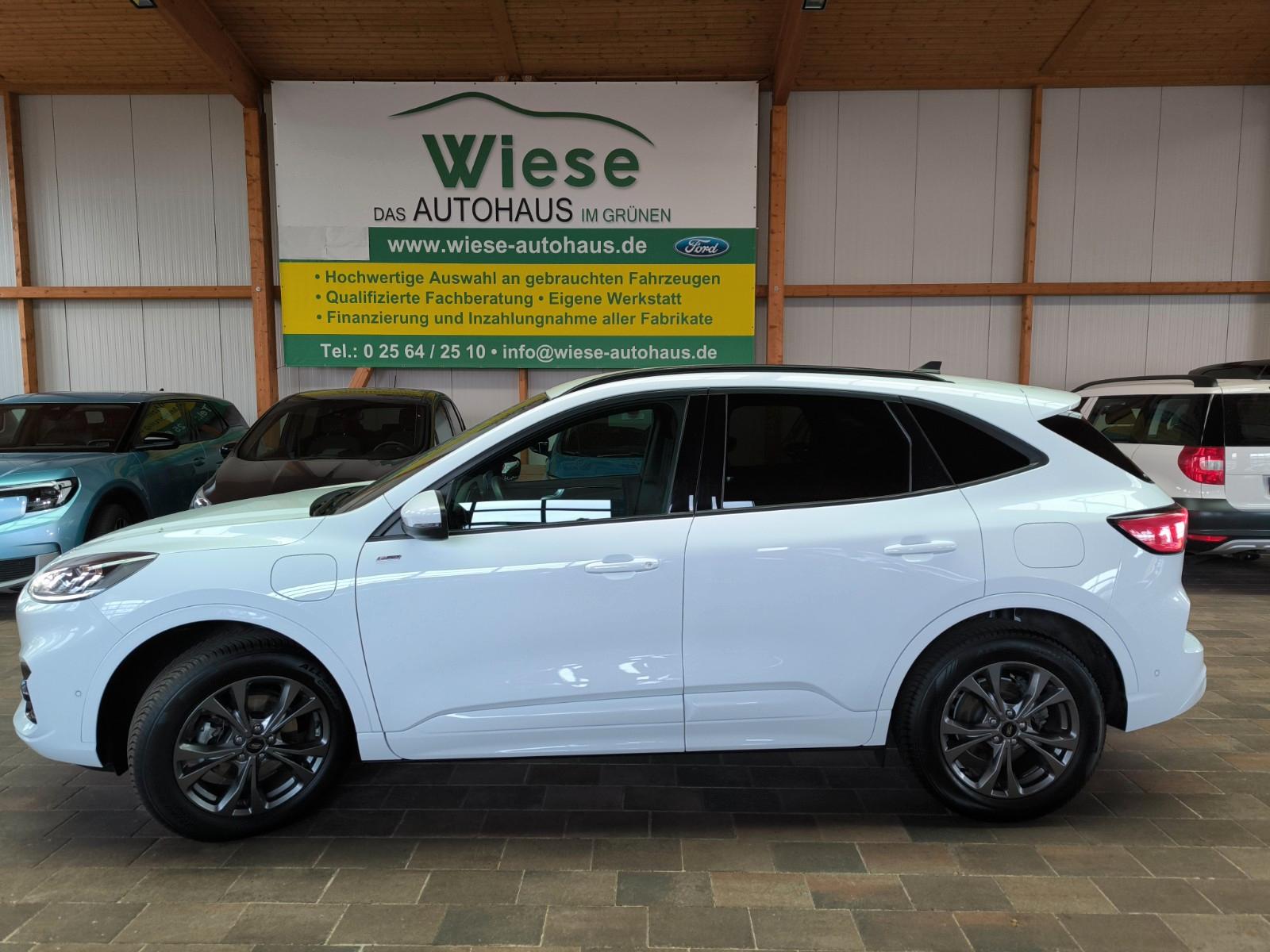 Ford Kuga 2,5 PHEV Hybrid ST-Line X,IACC,HUD,el.AHK