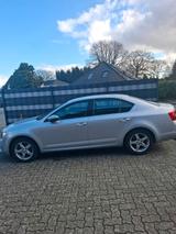 Skoda Octavia 1,4 L  TSI  150 PS . - Skoda Octavia mit Benzin-Antrieb: Limousine, 1.4