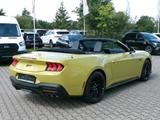 Ford Mustang GT Cabrio AT 5.0L V8 NitePony Magneride - gebrauchte Ford Cabrios