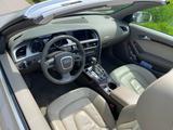 Audi A5 1.8 TFSI multitronic Cabriolet - - Audi A5 aus 2010: Cabrio