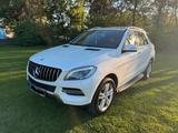 Mercedes-Benz Mercedes Benz ML 350 - Mercedes-Benz ML-Klasse Kombi Gebrauchtwagen