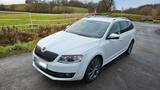 Skoda Octavia 2.0TDI Kombi Laurin&Klement - Skoda Octavia: Laurin Klement