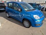Fiat Panda 1.0 Hybrid, 5 Sitzer, Klimaanlage - Fiat Panda: Sitze
