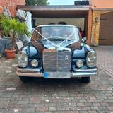 Mercedes-Benz W111, 250SE/C Coupe, Automatik, gepflegt, ... - Mercedes-Benz 250 aus 1966: 250s