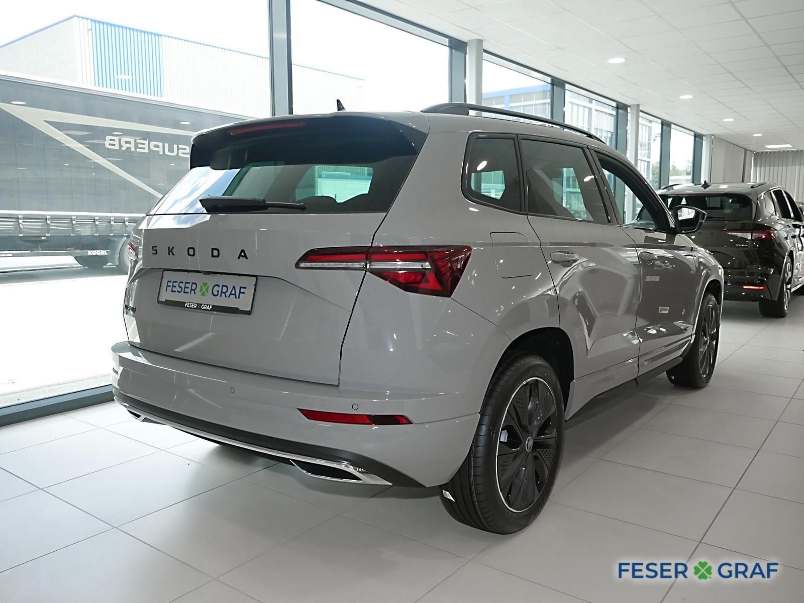Skoda Karoq - Bild 3