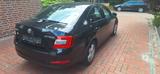 Skoda Octavia 1.6 TDI Green tec Ambition Ambition - Skoda Octavia mit Diesel-Antrieb: Limousine, 1.6
