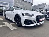Audi RS 5 Sportback 2.9 TFSI quattro Competition Plus - Audi RS5 Competition Gebrauchtwagen