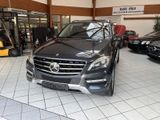 Mercedes-Benz ML 350 BlueTEC 4M 7G Leder ILS Navi AHK GSD TOT - Mercedes-Benz ML 350: 7